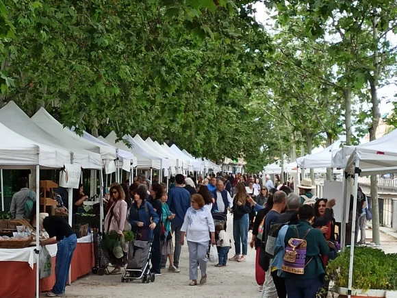 Ecomercado Norte – 15 de Octubre de 2022