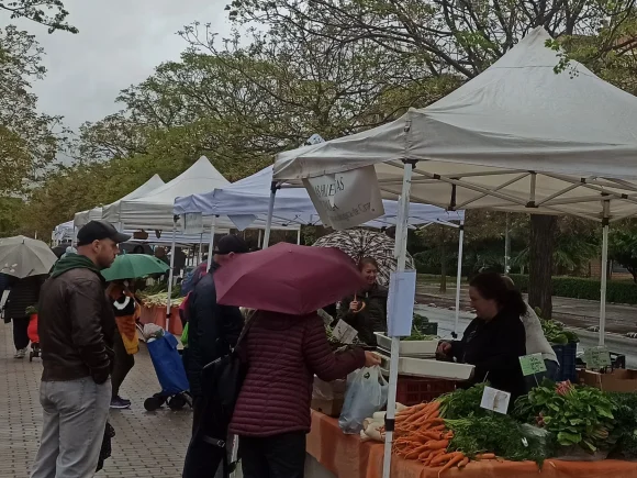 Ecomercado Norte – 19 de Noviembre de 2022