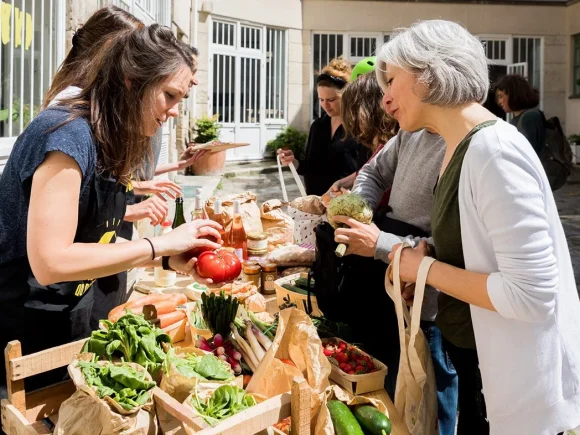 Sistemas Participativos de Garantía SPG en Andalucía y Procesos Agroecológicos de 2006 a 2018